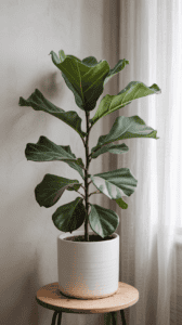 alternative medicine approaches in London