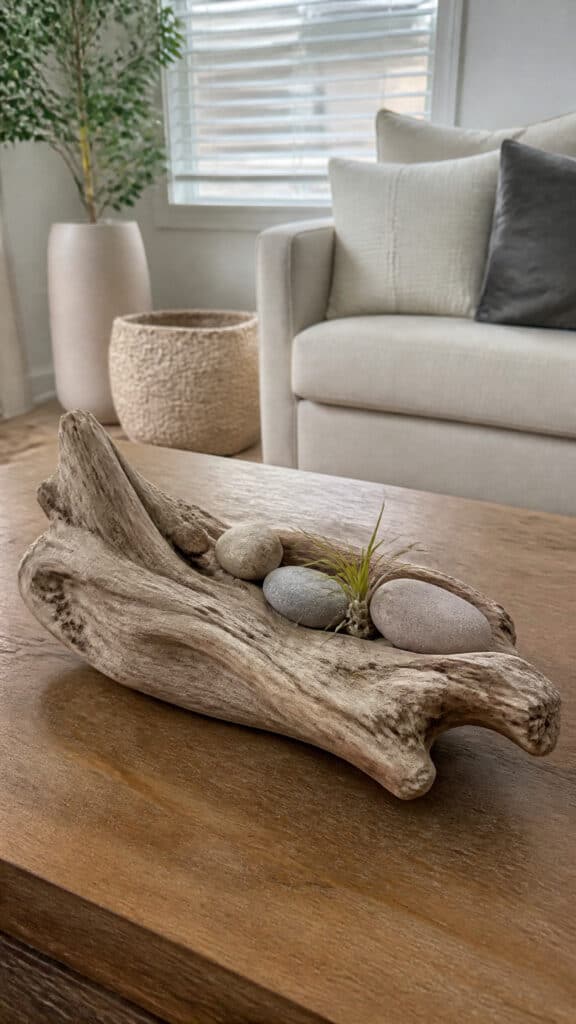 Natural Elements And Textures