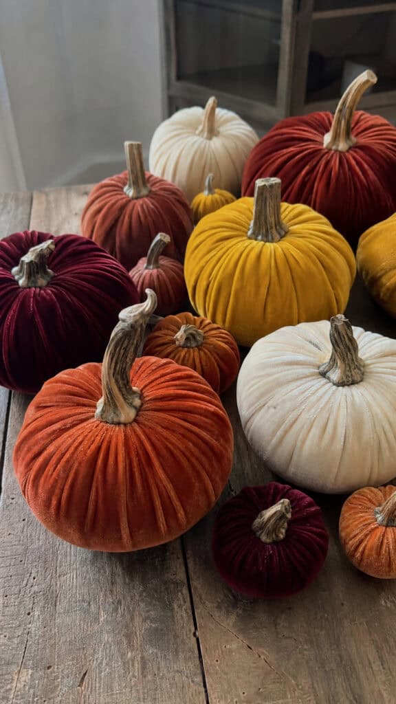 Plush Velvet Pumpkins in Rich Autumn Hues