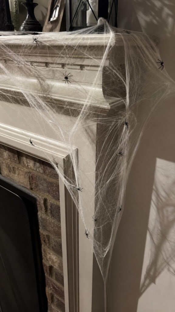 Cascading Spider Web Garland