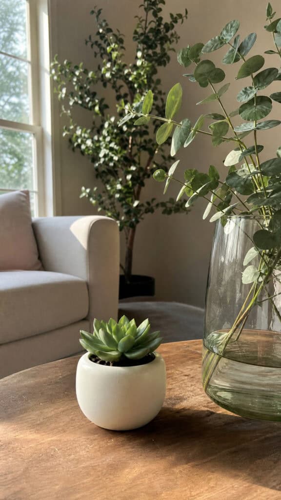 Bring Life with Greenery