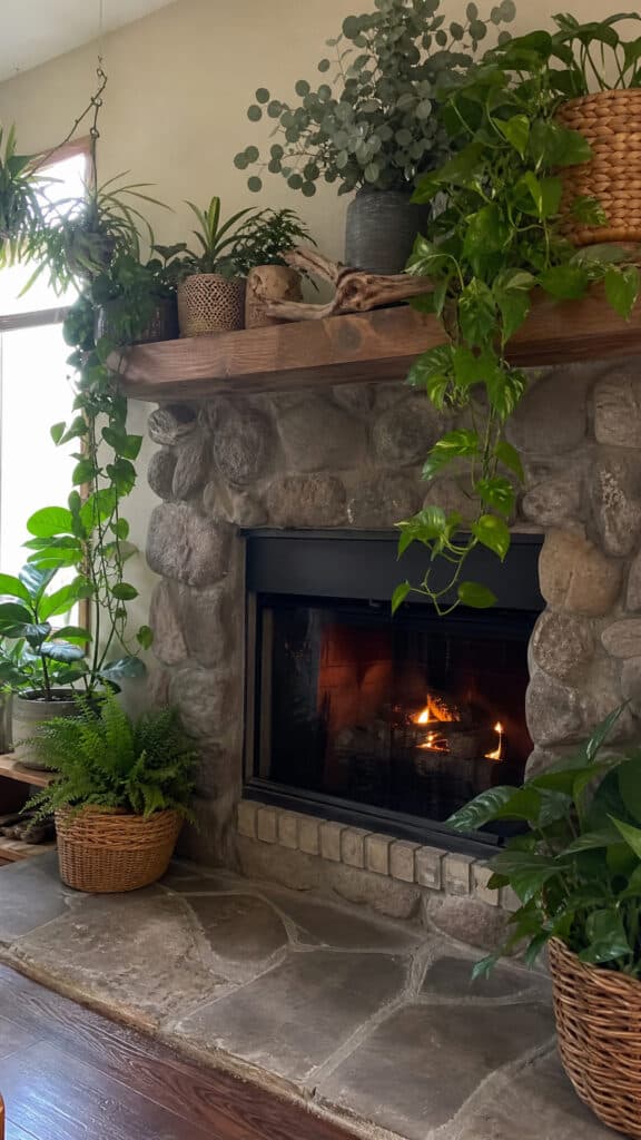 Natural Organic Elements