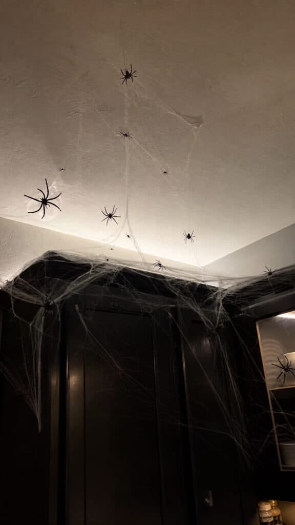 Creepy Crawly Spider Haven