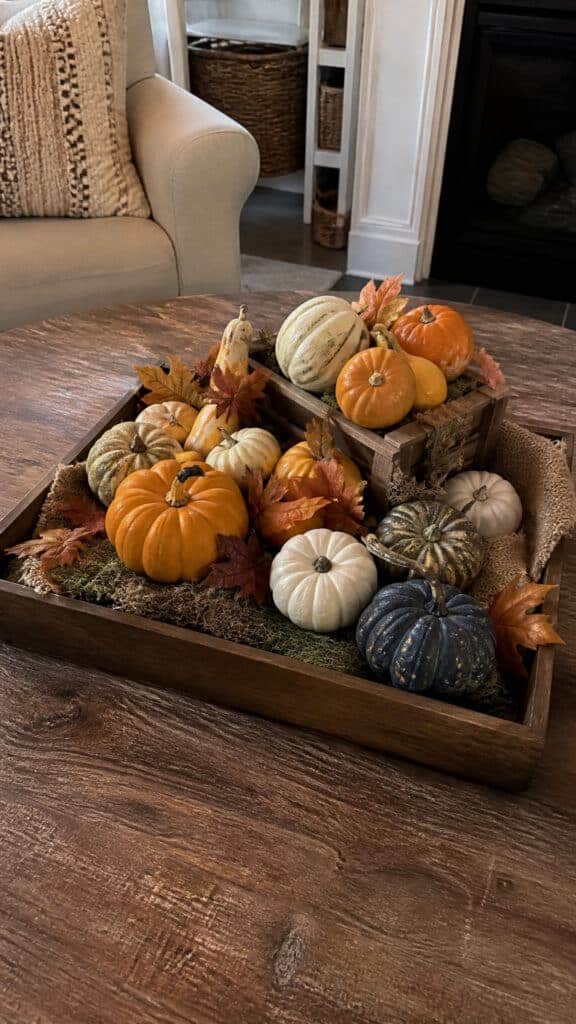 Pumpkin Patch Perfection