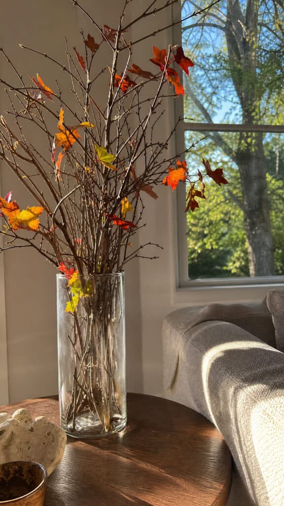 Natural Branch And Twig Arrangements