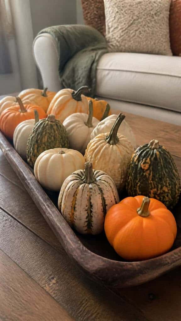 Start Small with Mini Pumpkins and Gourds