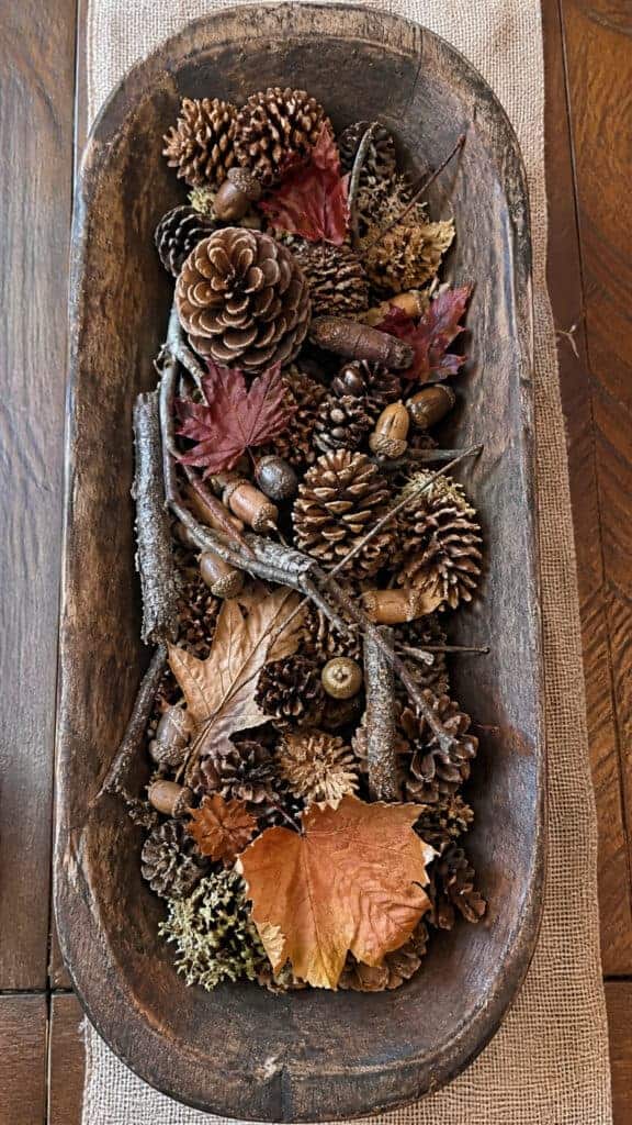 Natural Elements Collection with Pinecones, Acorns, and Leaves