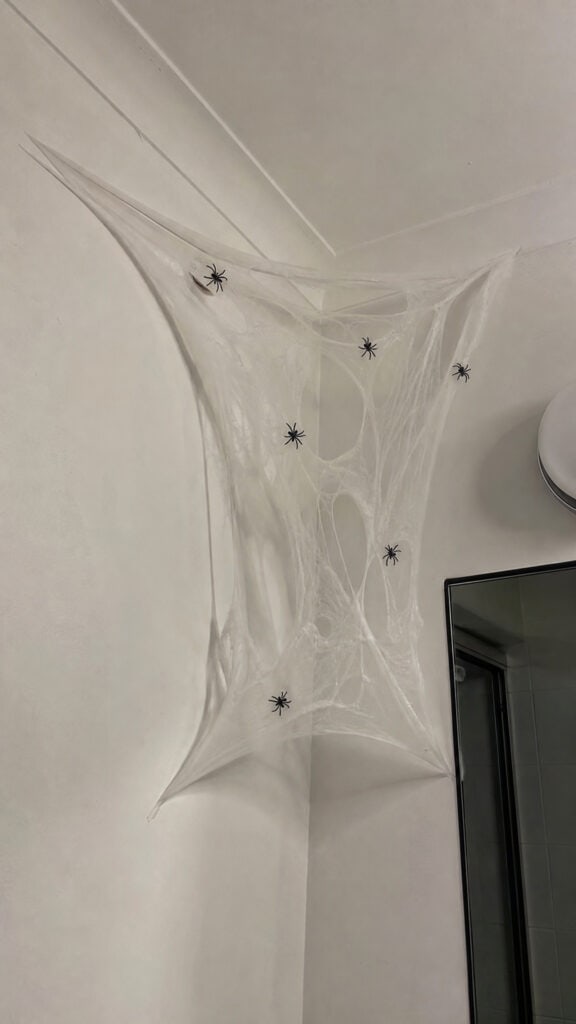 Spiderweb Corner Decorations