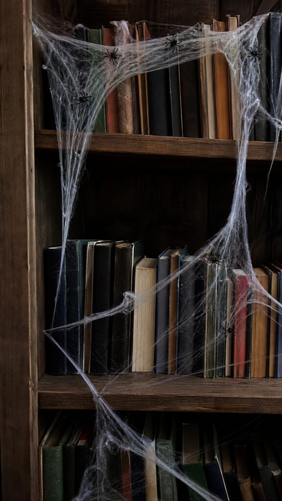 Drape Faux Spider Webing