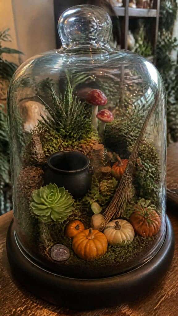 Witch's Garden Terrarium Display
