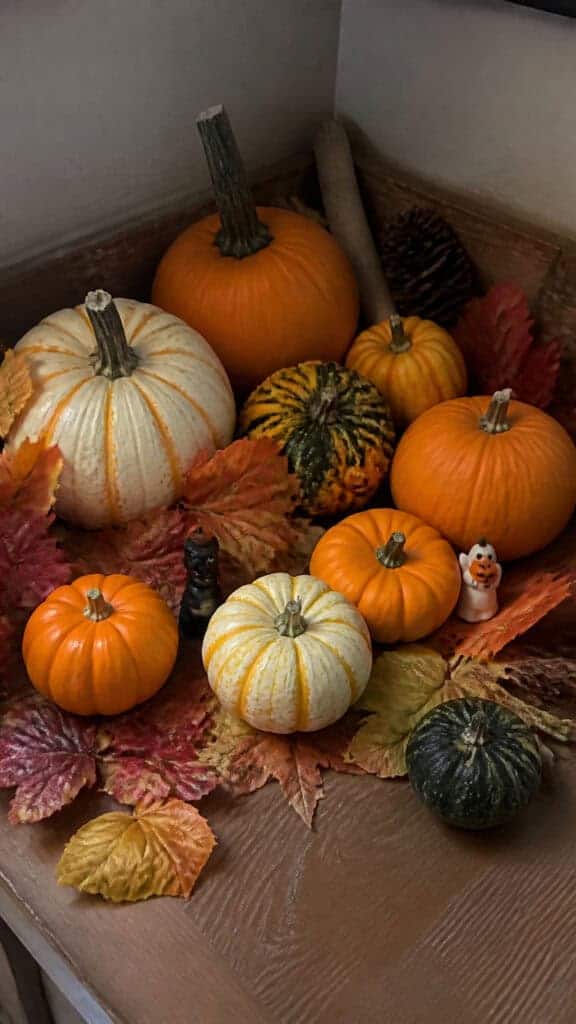 Create a Mini Pumpkin Patch on Your Desk