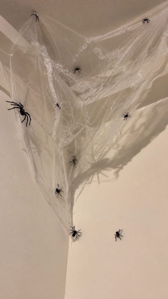 Creepy Crawly Spider Web Corner Display