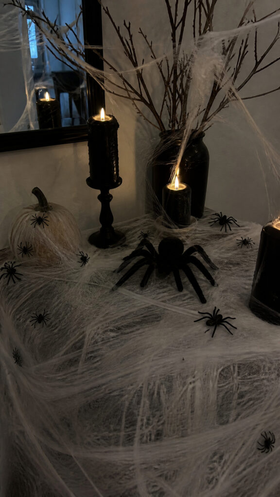 Creepy Crawly Spider Web Display