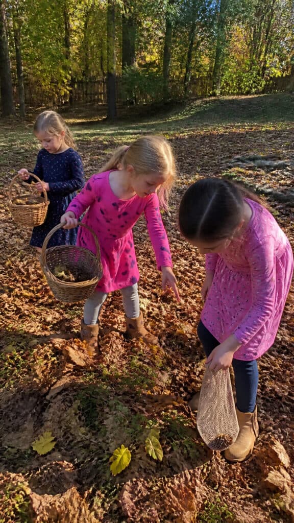 Autumn Scavenger Hunt