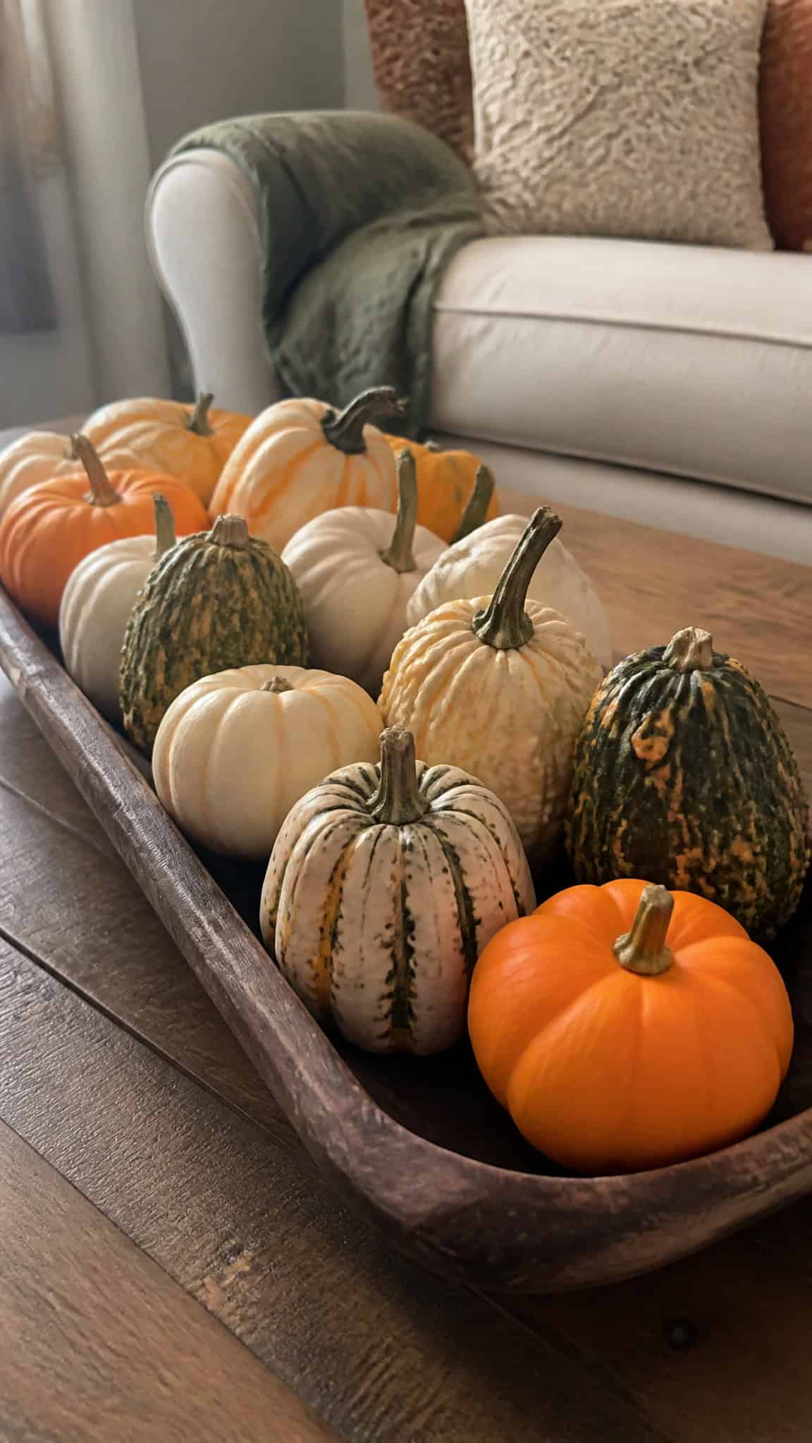 Start Small with Mini Pumpkins and Gourds